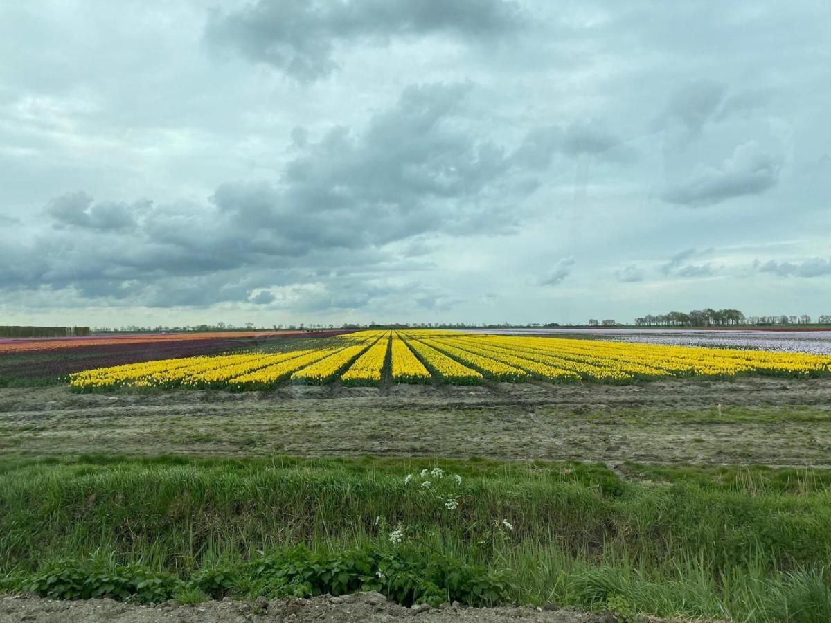 Krabbenkreek 2 Villa Sint Annaland Luaran gambar