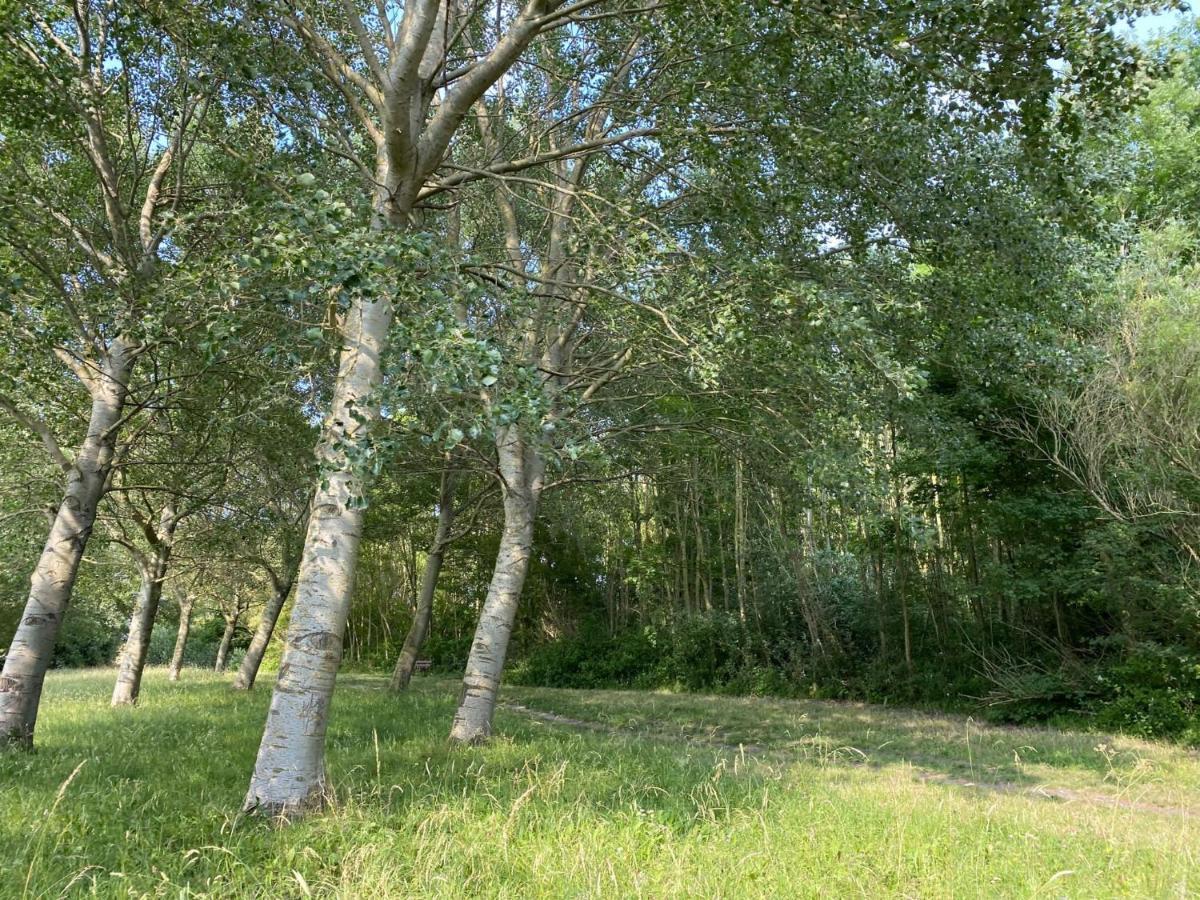 Krabbenkreek 2 Villa Sint Annaland Luaran gambar