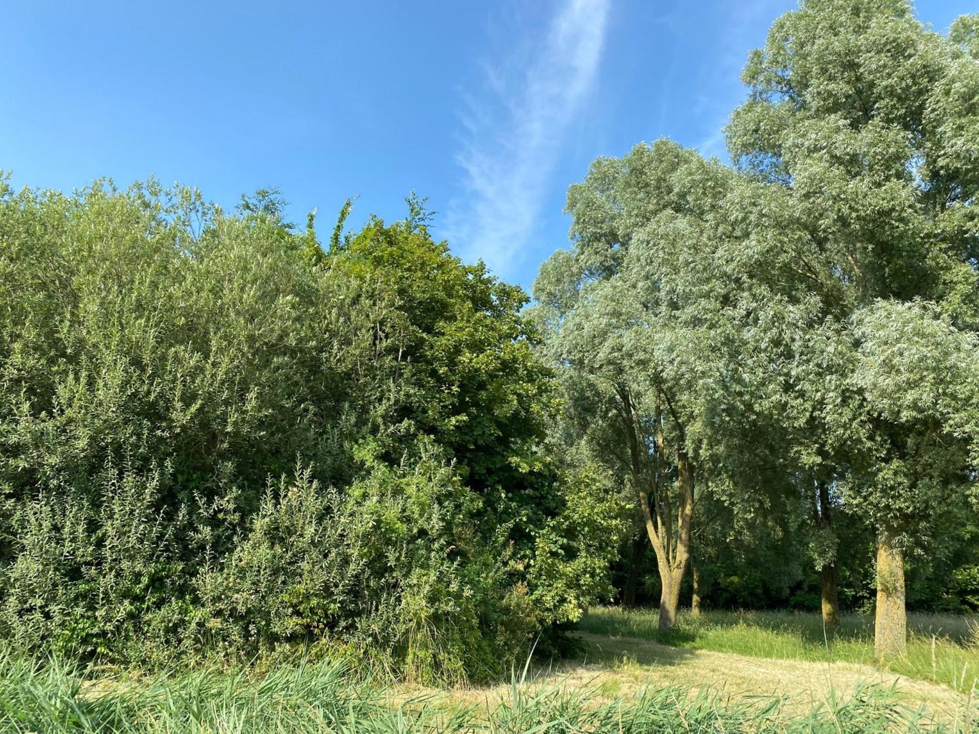 Krabbenkreek 2 Villa Sint Annaland Luaran gambar