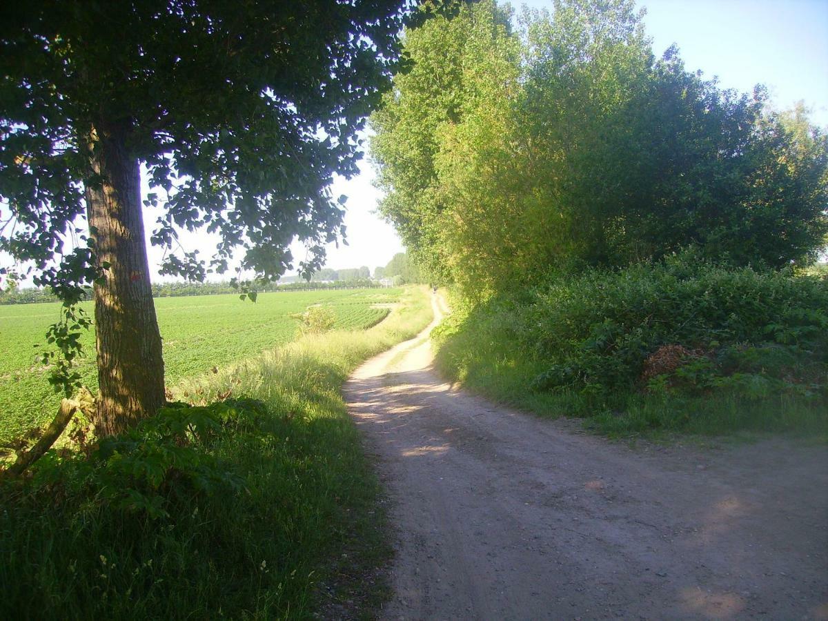 Krabbenkreek 2 Villa Sint Annaland Luaran gambar